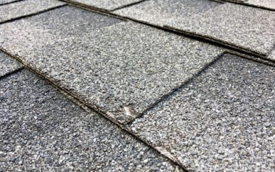 How To Tell If Your Roof Needs To Be Replaced in Tampa, FL