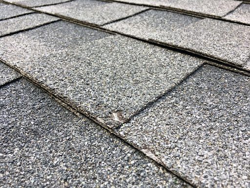 How To Tell If Your Roof Needs To Be Replaced in Tampa, FL