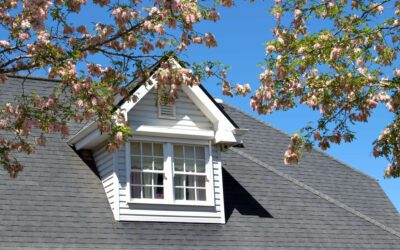 Spring Into Action: Roof Maintenance Tips for Easter and Spring Cleaning