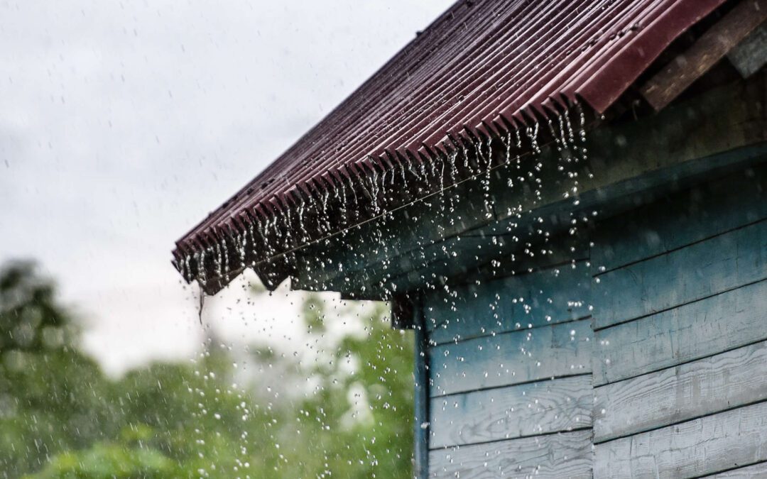 Battling Roof Leaks in Tampa’s Rainiest Months: Prevention & Quick Fixes