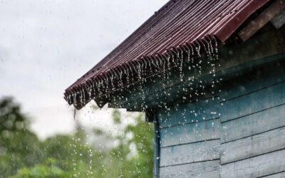 Battling Roof Leaks in Tampa’s Rainiest Months: Prevention & Quick Fixes
