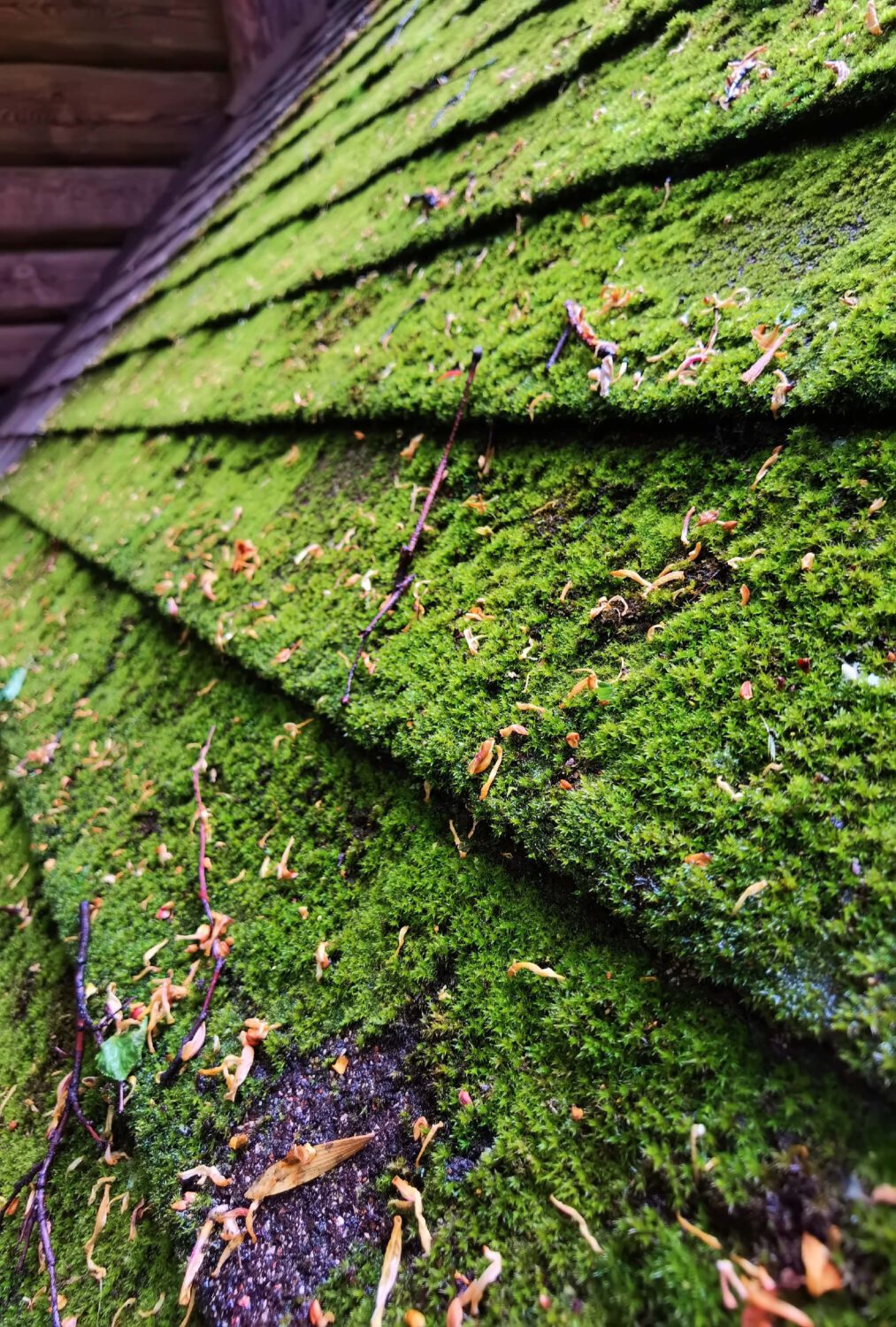 Roof destroyed by Hurricane Roof destroyed by Hurricane