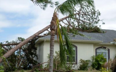 Before Hurricane Season Hits: Florida’s New Roof Insurance Laws and What Tampa Homeowners Must Do Now